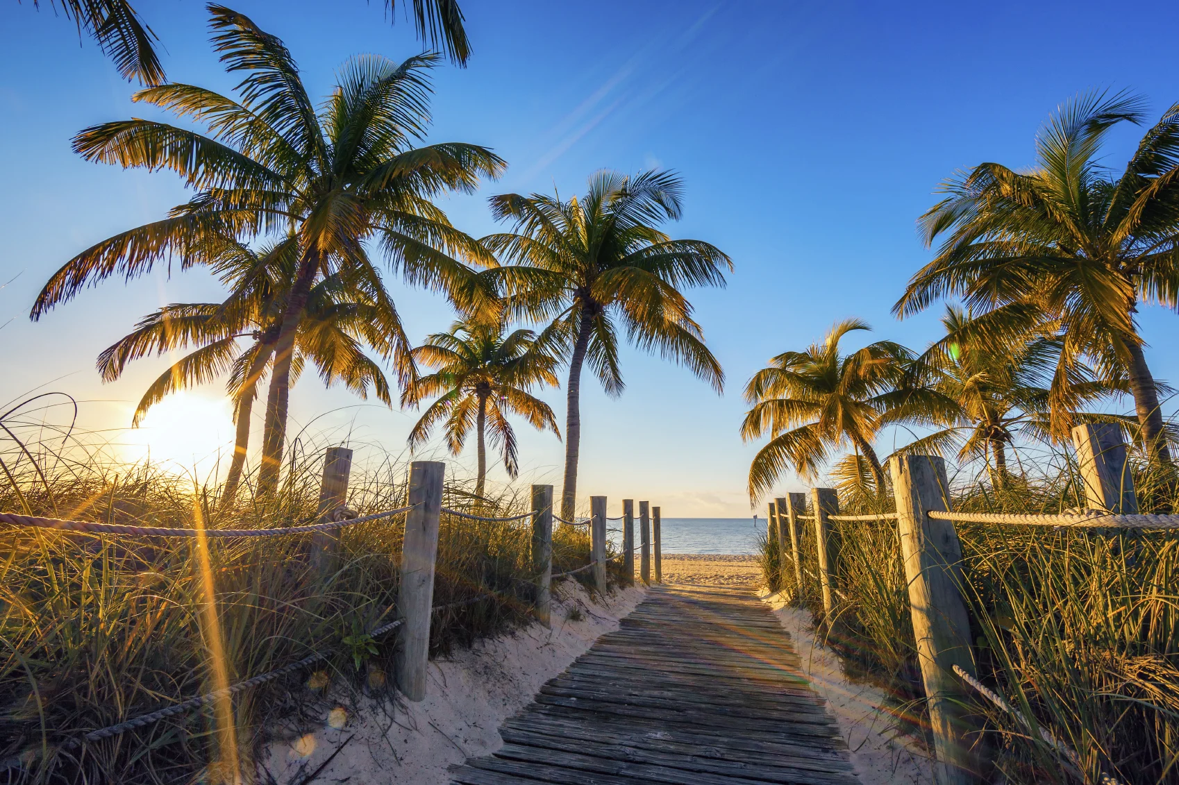 iStock board walk to beach 2.jpg