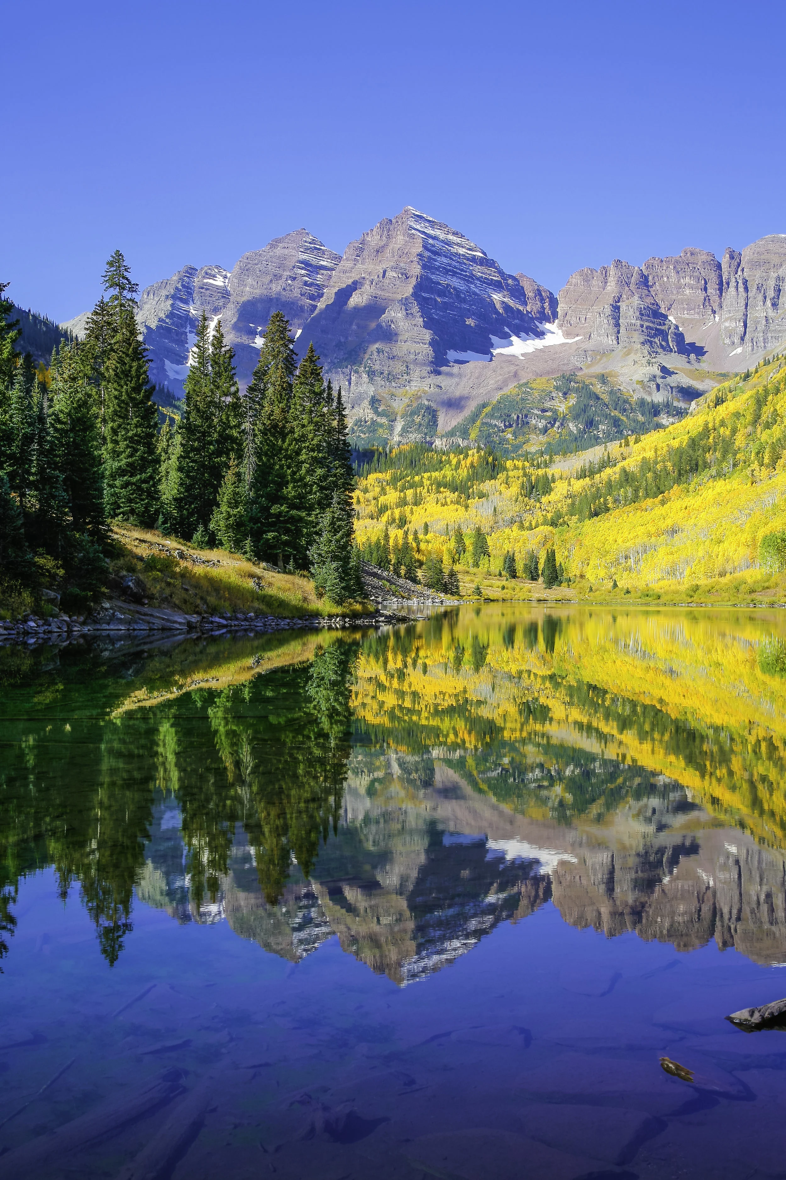 iStock-175600689.jpg