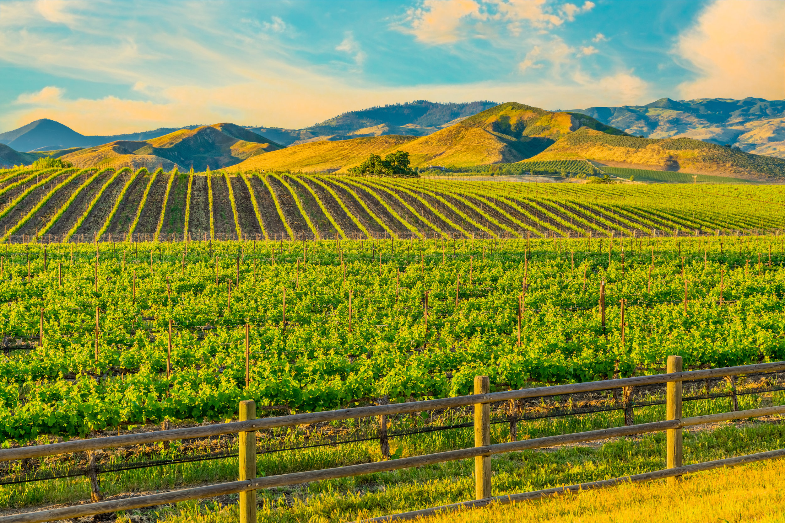 Discover California's Countryside Ranches &amp; Vineyards