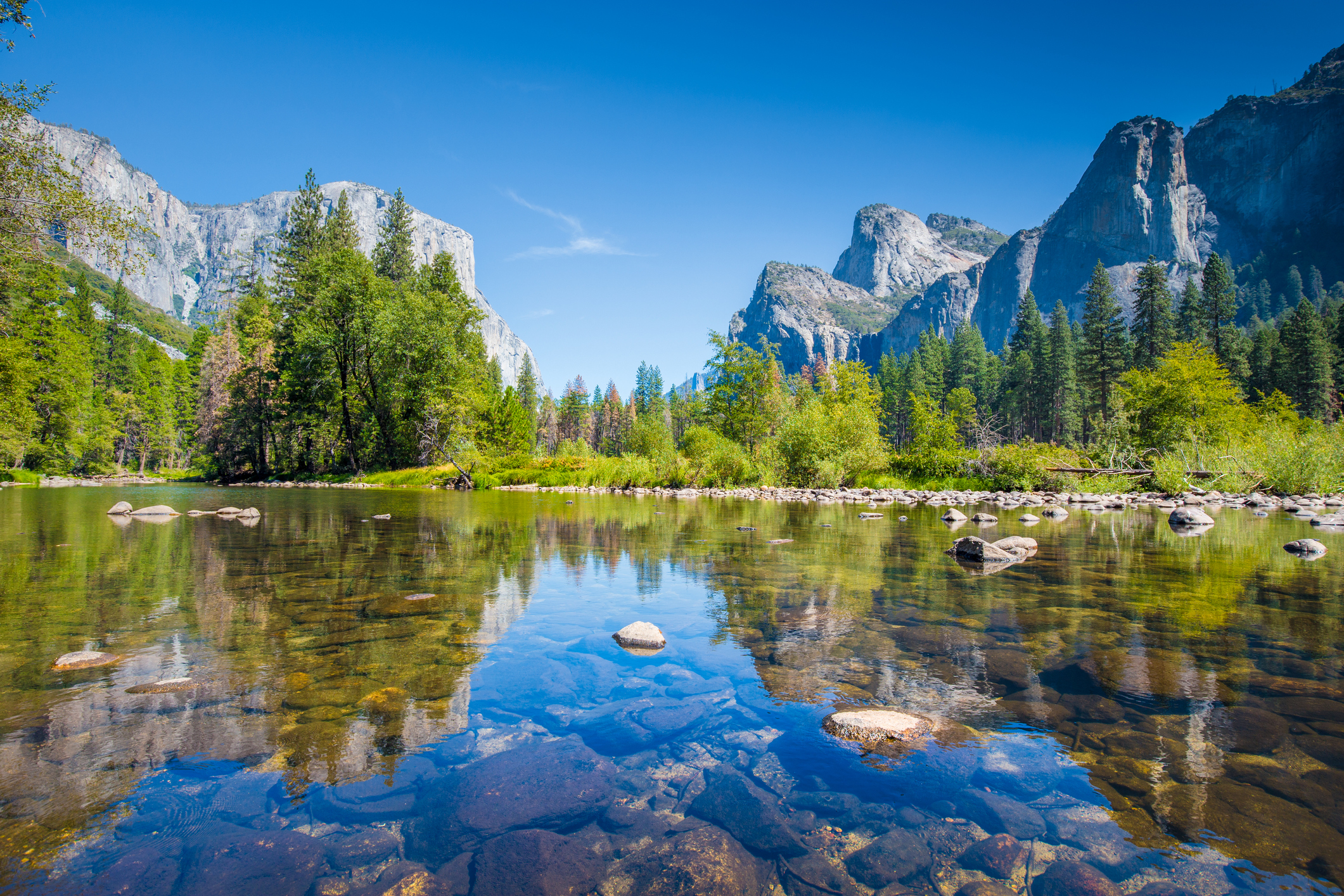 Yosemite National Park (Copy)