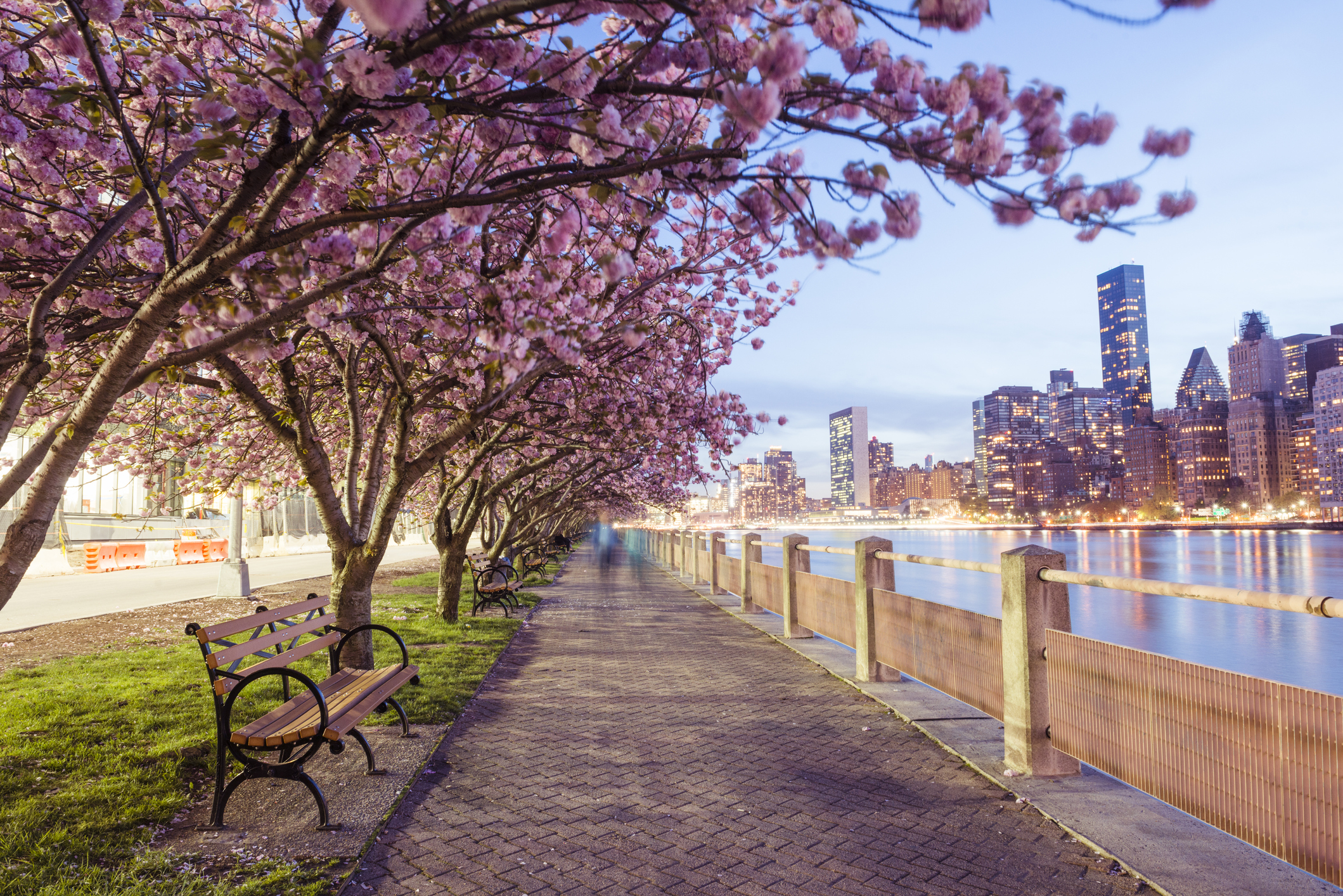 See New York City's Spring Flowers