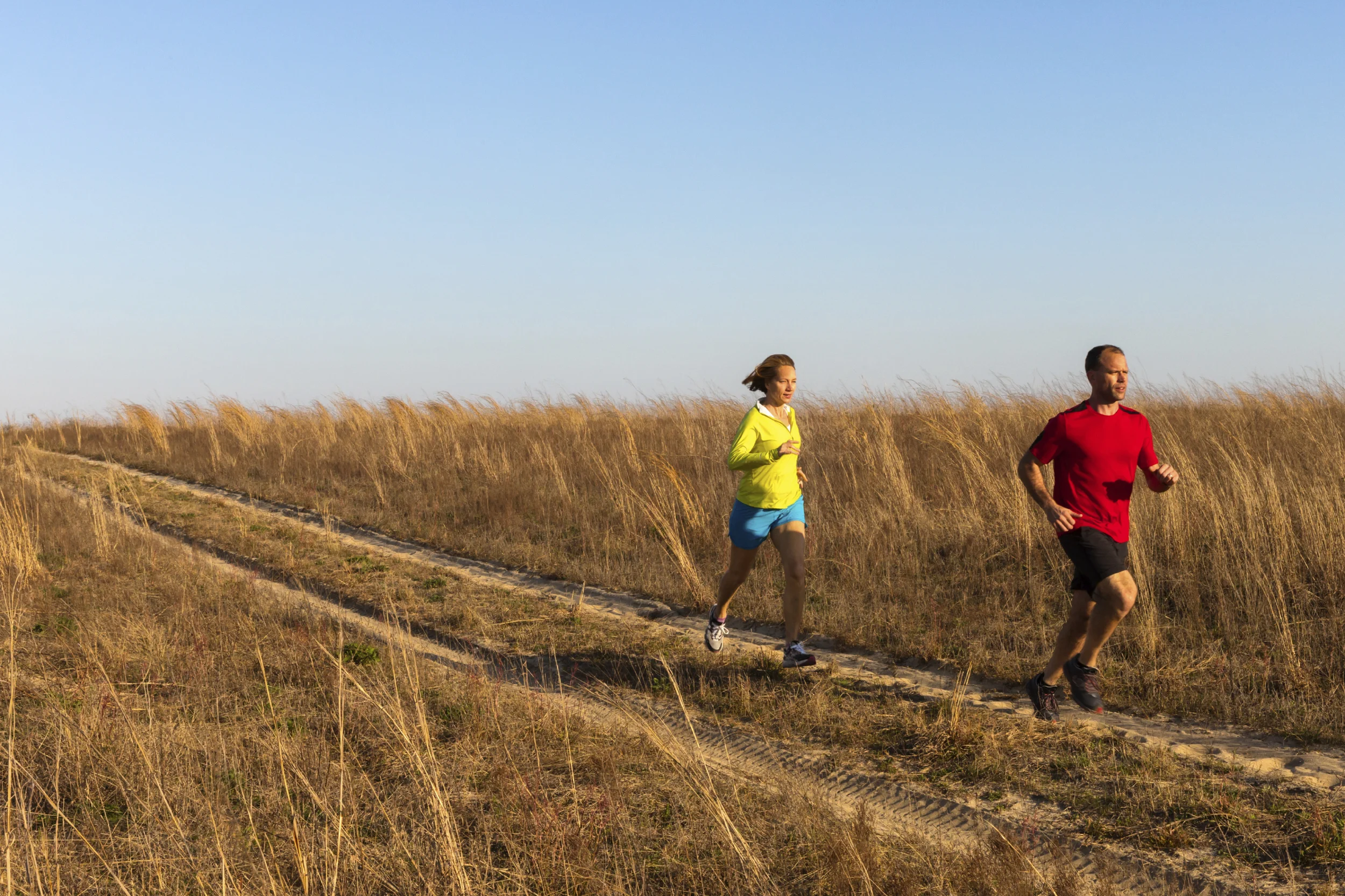 Carbohydrates and Exercise