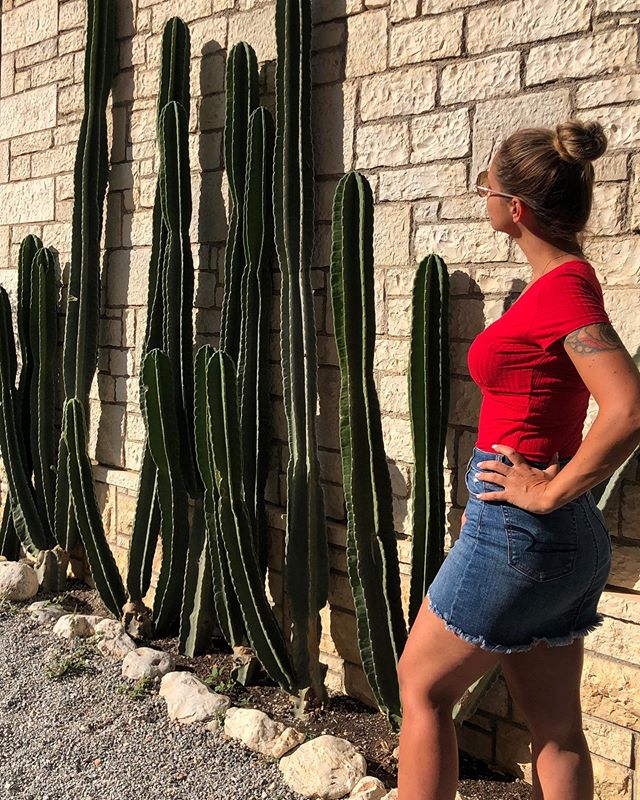 Stay hydrated 🌵
.
.
.
#glowingskin #hydrateyourskin #airbrushtans #torontospraytanning #mobiletanningtoronto #bronzemebabe #healthyskin #uvfreetanning #torontofitness #toronto #summer
