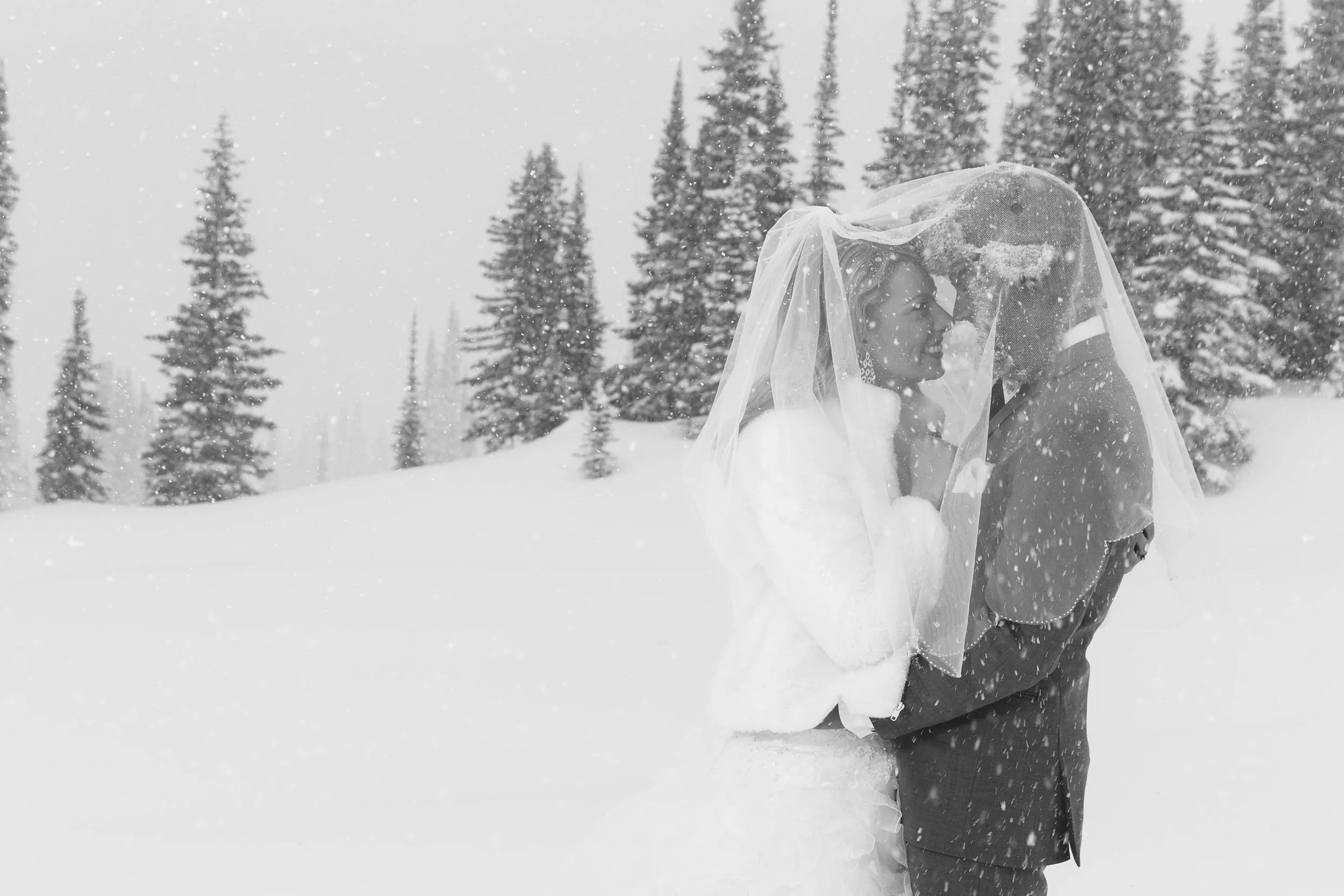 20150411_Purcell_Lodge_Wedding_135.jpg