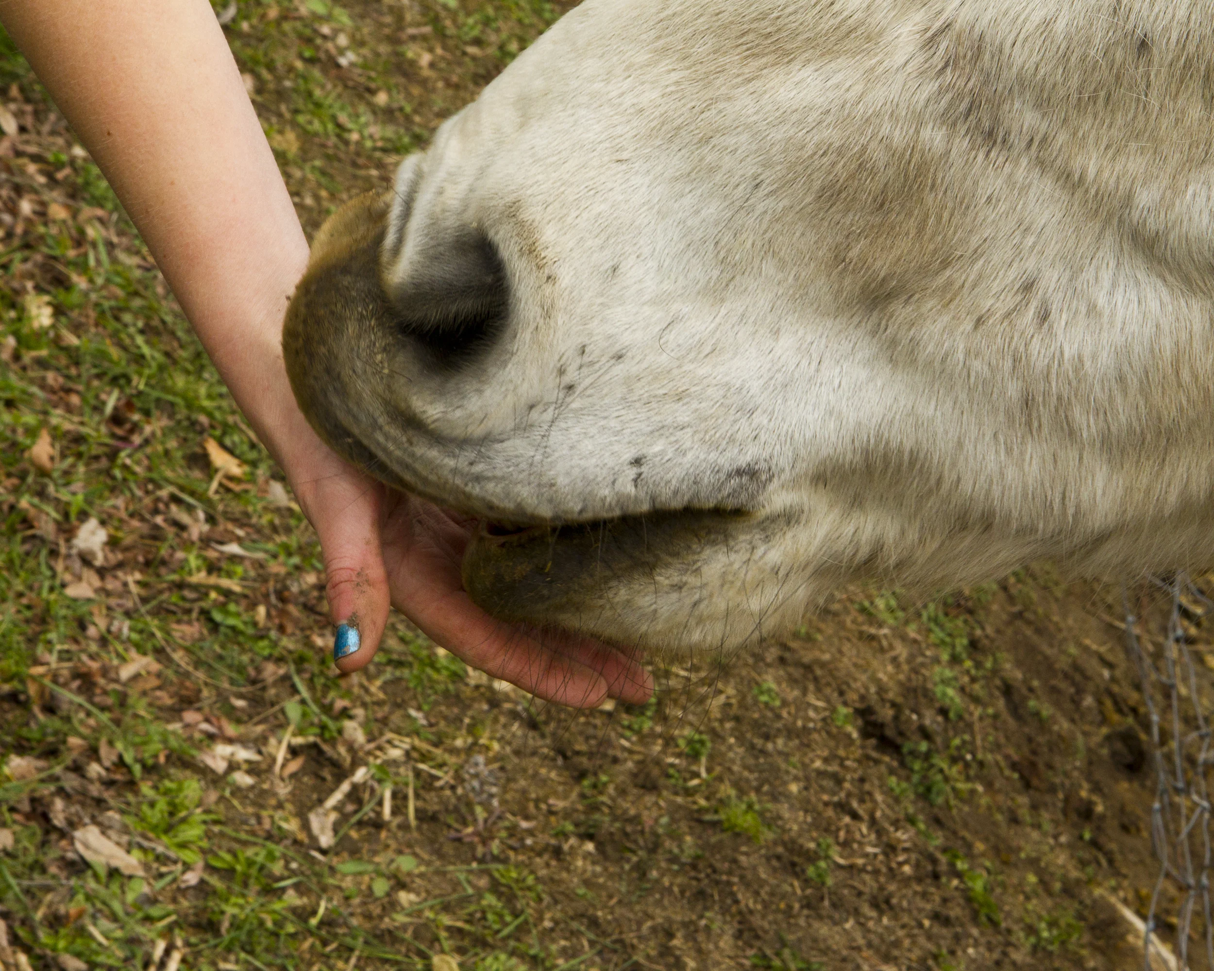 20110326-_H9E6451.jpg