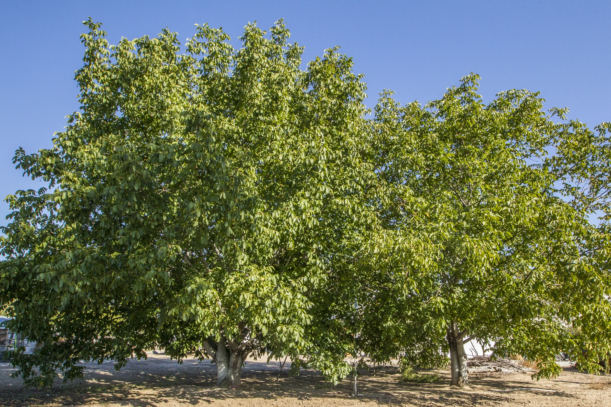 _H9E9407-8.jpg