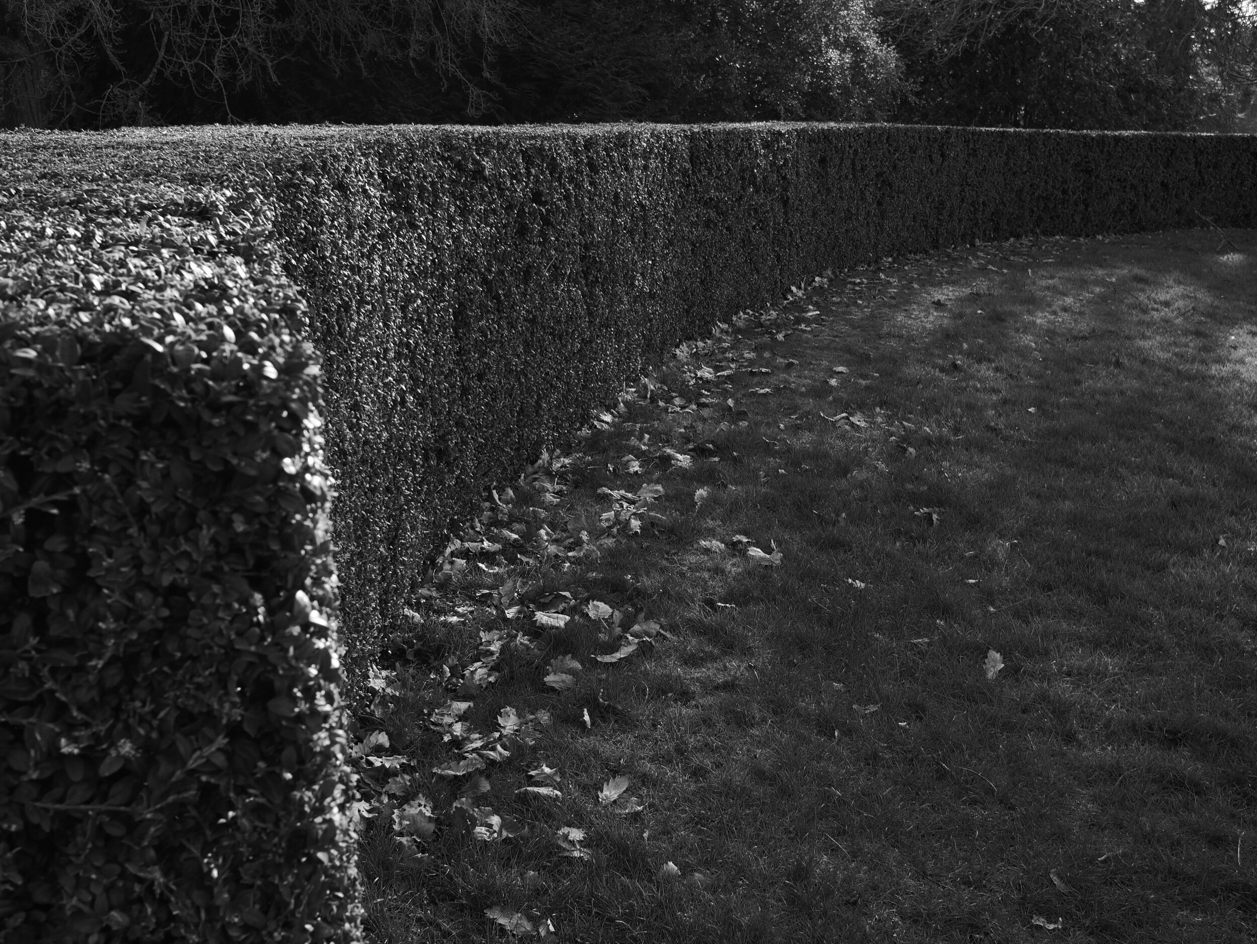 P1030806.jpeg
