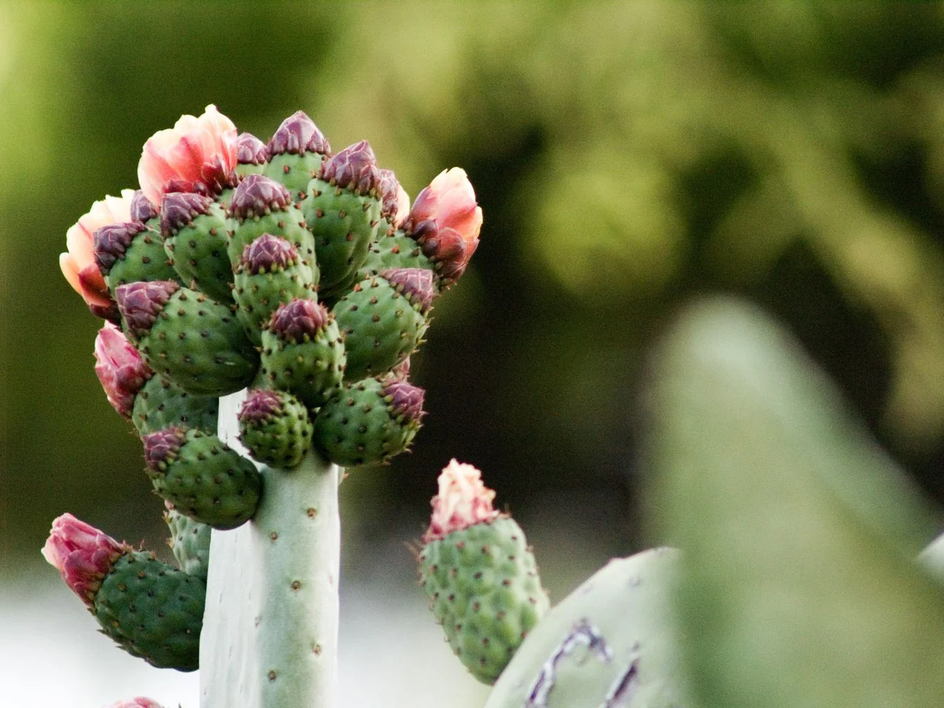 He's in the little things too