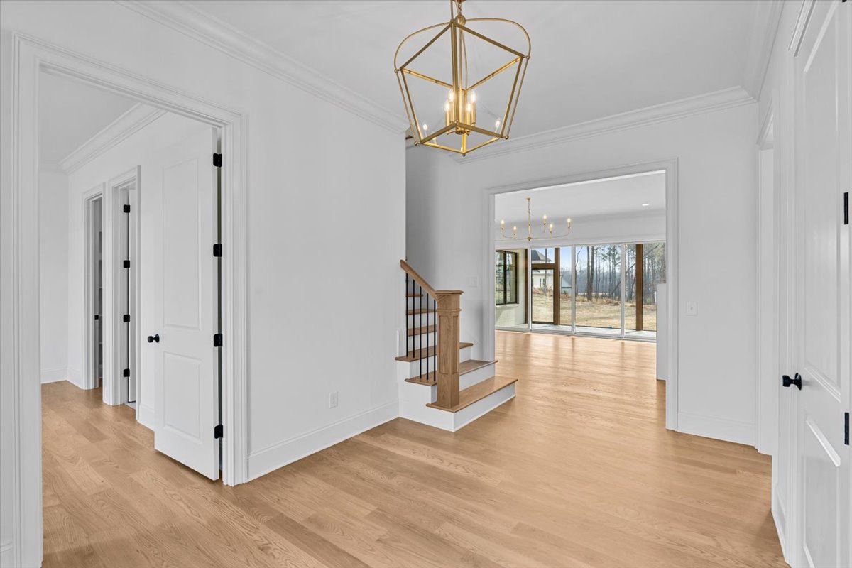 04-Megan 8105 Falcon-4.jpg