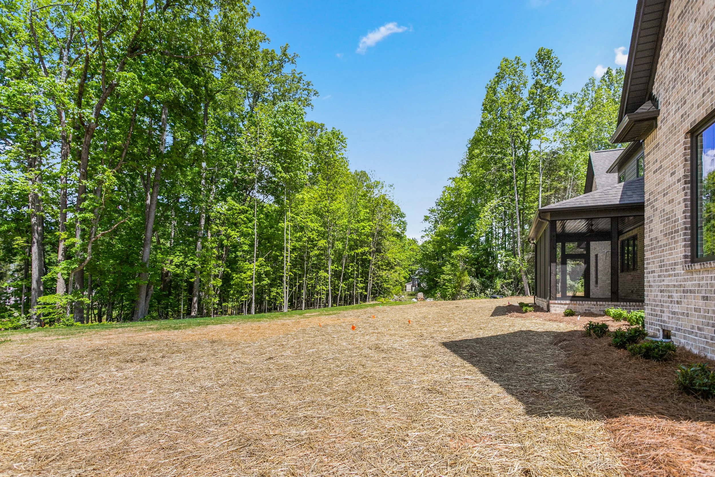 8198 Falcon Trail-63.jpg