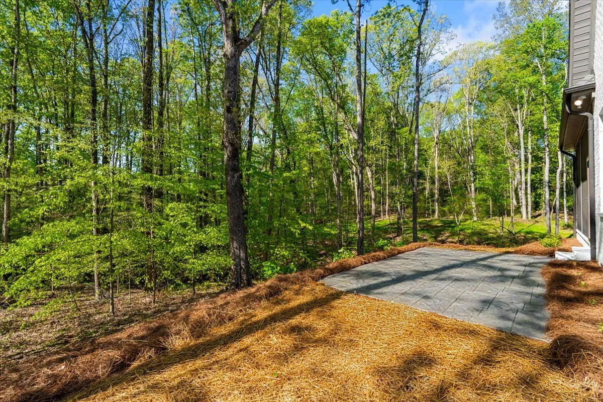 59-Megan 8199 Falcon-59.jpg