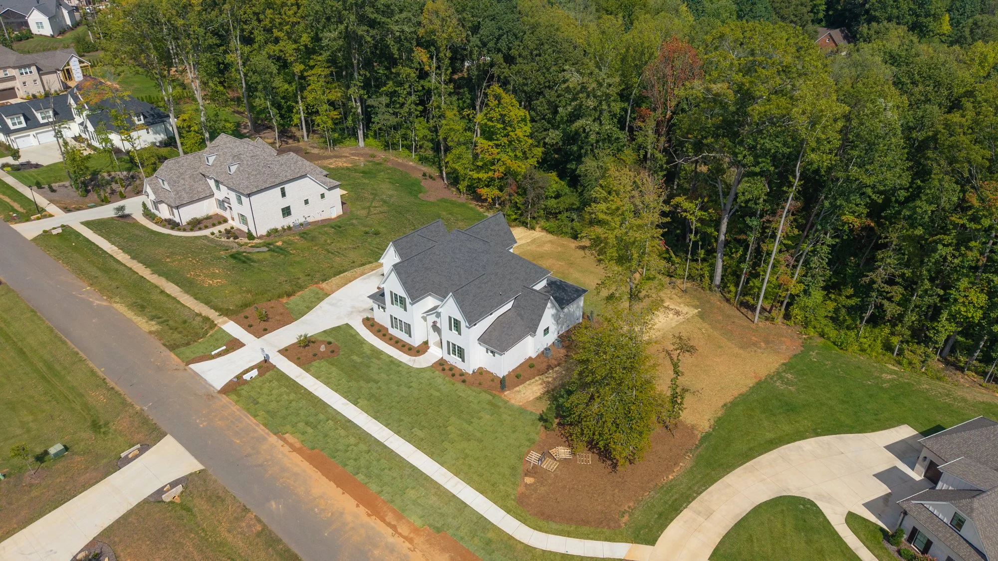 6388 Whitaker Trace-Drone-3.jpg