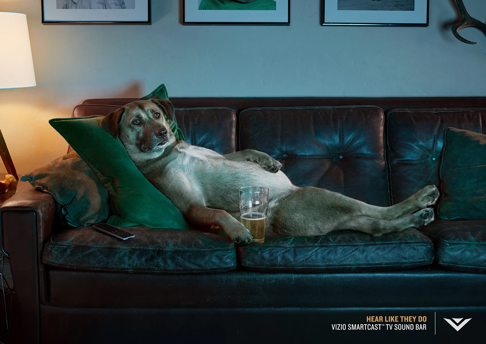 VIZIO_HEAR_LIKE_THEM_CANNES_C.jpg