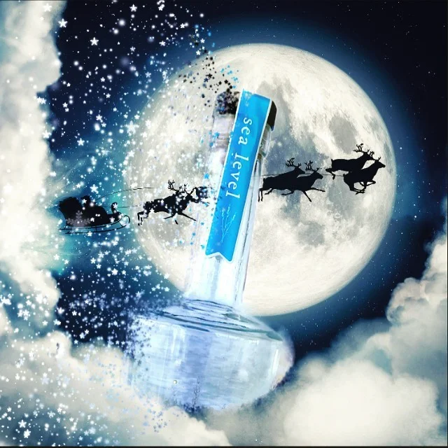 Happy Christmas Eve Eve!
.
. .
. . 
#elevationmatters #30a #southwalton #santarosabeach #craftspirits #florida #everythingsbetteratsealevel #business #vodka #sealeveldogs #luckydogs #seaoatsmatter #cuveekitchen #chans #greatsoutherncafe #neatbottlesh
