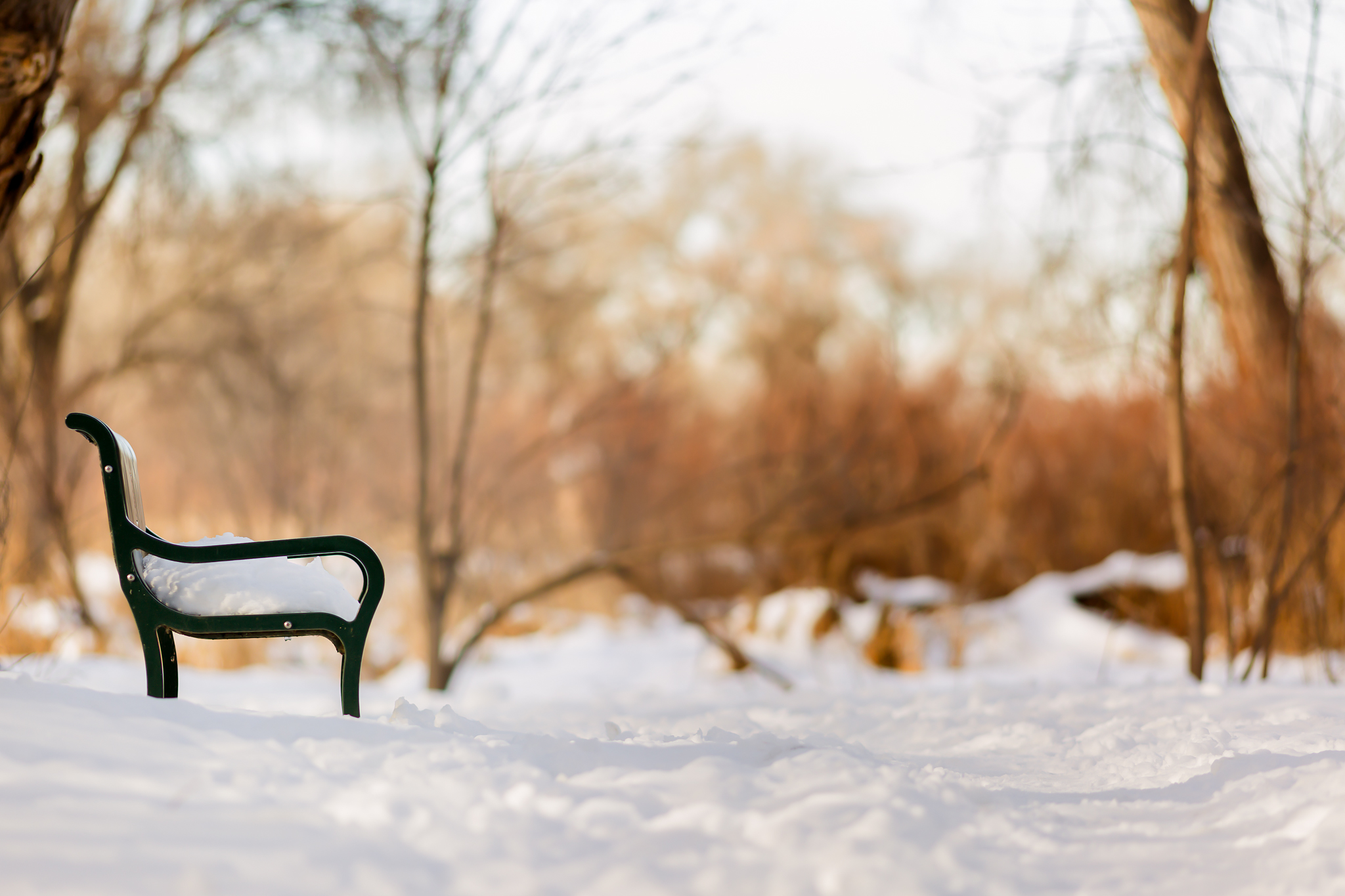 Snow Covered Bench