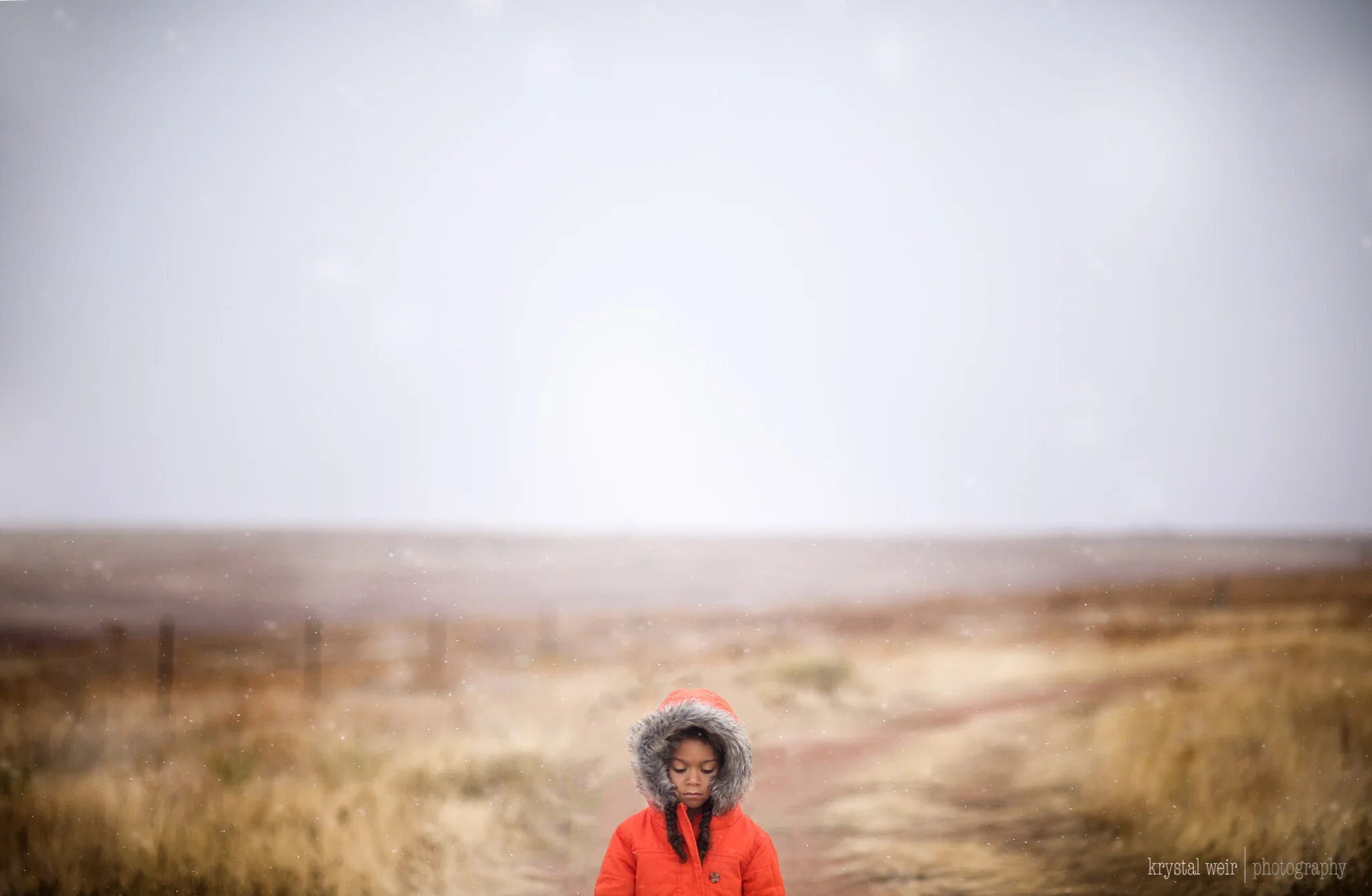 Day 20/365 Such a big world for this little girl to explore Whenever I go to this location I just love that it's kind of a hidden gem, not many people frequent this trail. I really wanted to take advantage of the mood. The fog is haunting and the de…