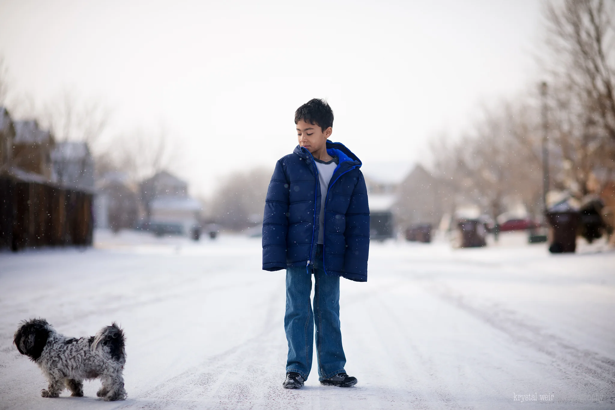 Day 26/365 Why did the pup cross the road? This photo was very much unintentional. I wanted to get a shot of my son before school, but the pup decided to enter and exit the frame while I was shooting. I found it quite hilarious. This was my first photo of the day and it was a keeper. I love the way my son is looking at her as if he's thinking, she's messing up my shot, but I know he could care less. Photographing in snow can be tough and I don't think I have it down yet I just know how to correct it when editing. I usually try to overexpose just a bit because your camera wants to underexpose by default when photographing a bright scene. 