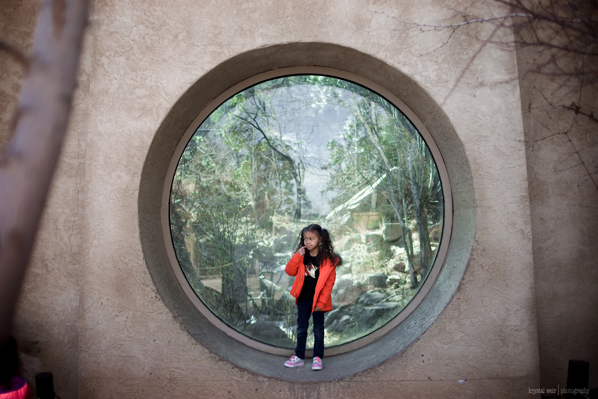 Day 32/365 We hit up the zoo today with some friends! It was a much needed outing for the both of us, we needed the socialization with others. I love the zoo when it's practically empty, kind of peaceful. This was a perfect photo op, perfect circular framing, I knew I had to get a photo of her although she wasn't as interested as I was. 