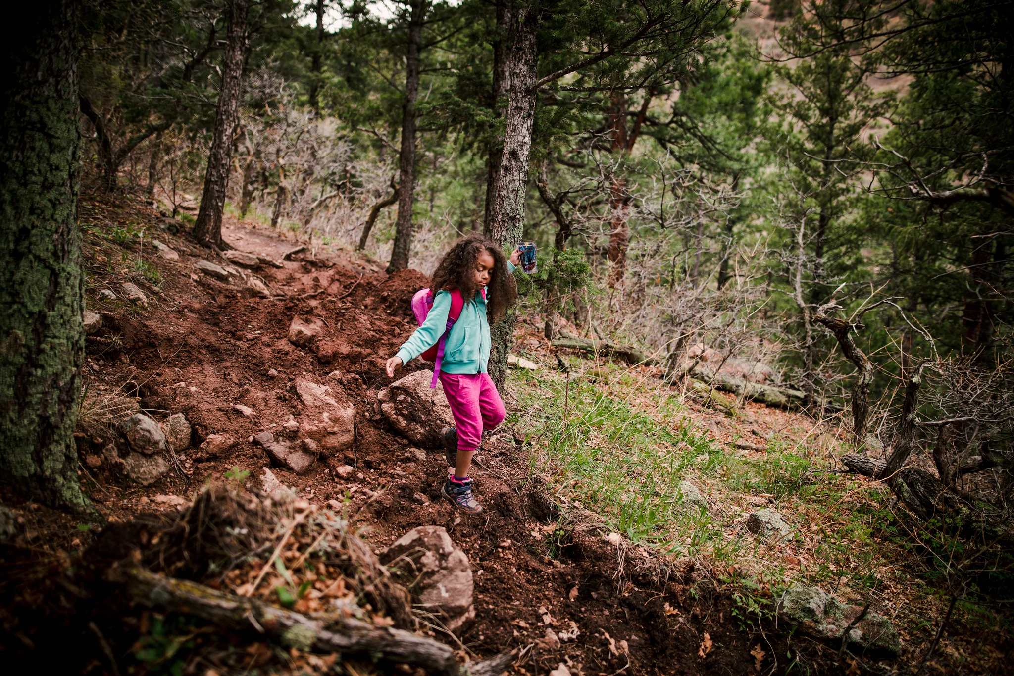 Hiking Adventures - May 11, 2017