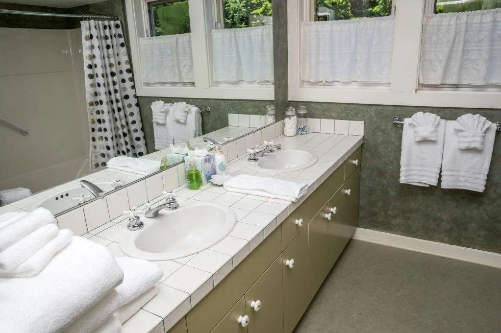 Bathroom- Lower Level