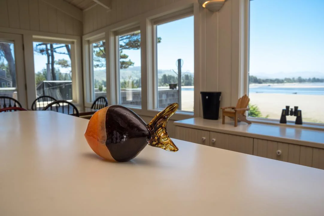 Wall-to-Wall Windows- Kitchen View