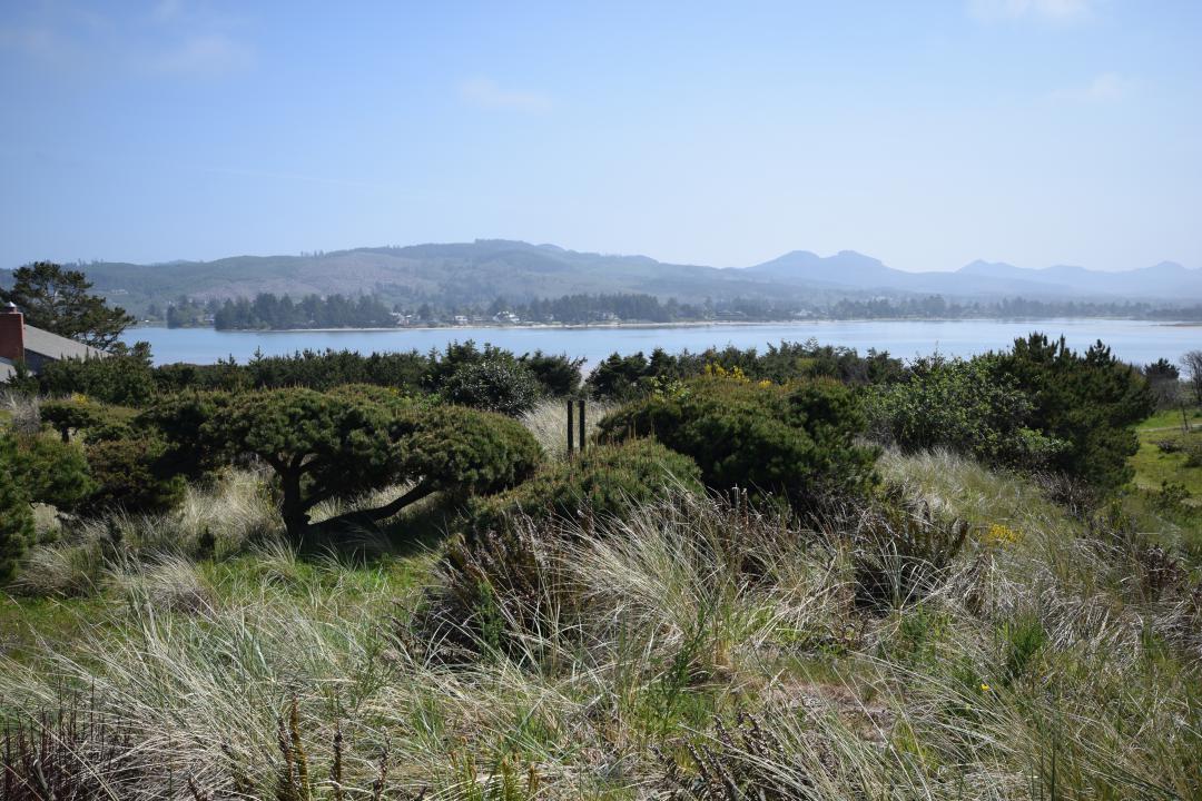 DSC_0089.jpg