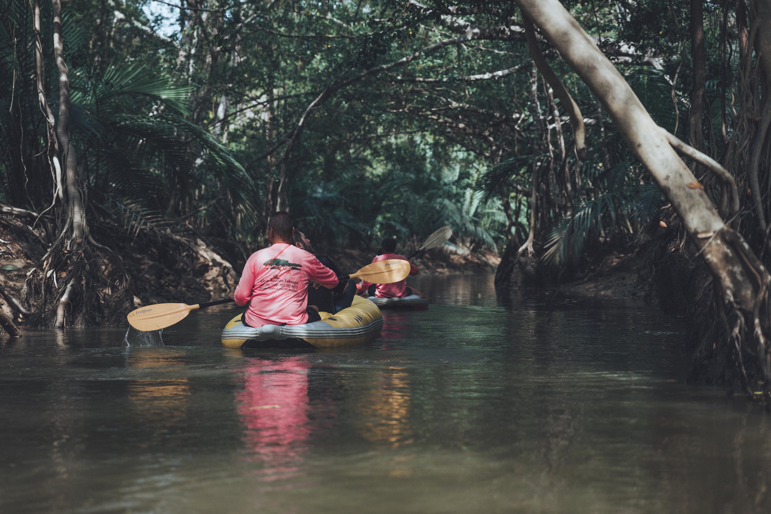  Paddling through the jungle 