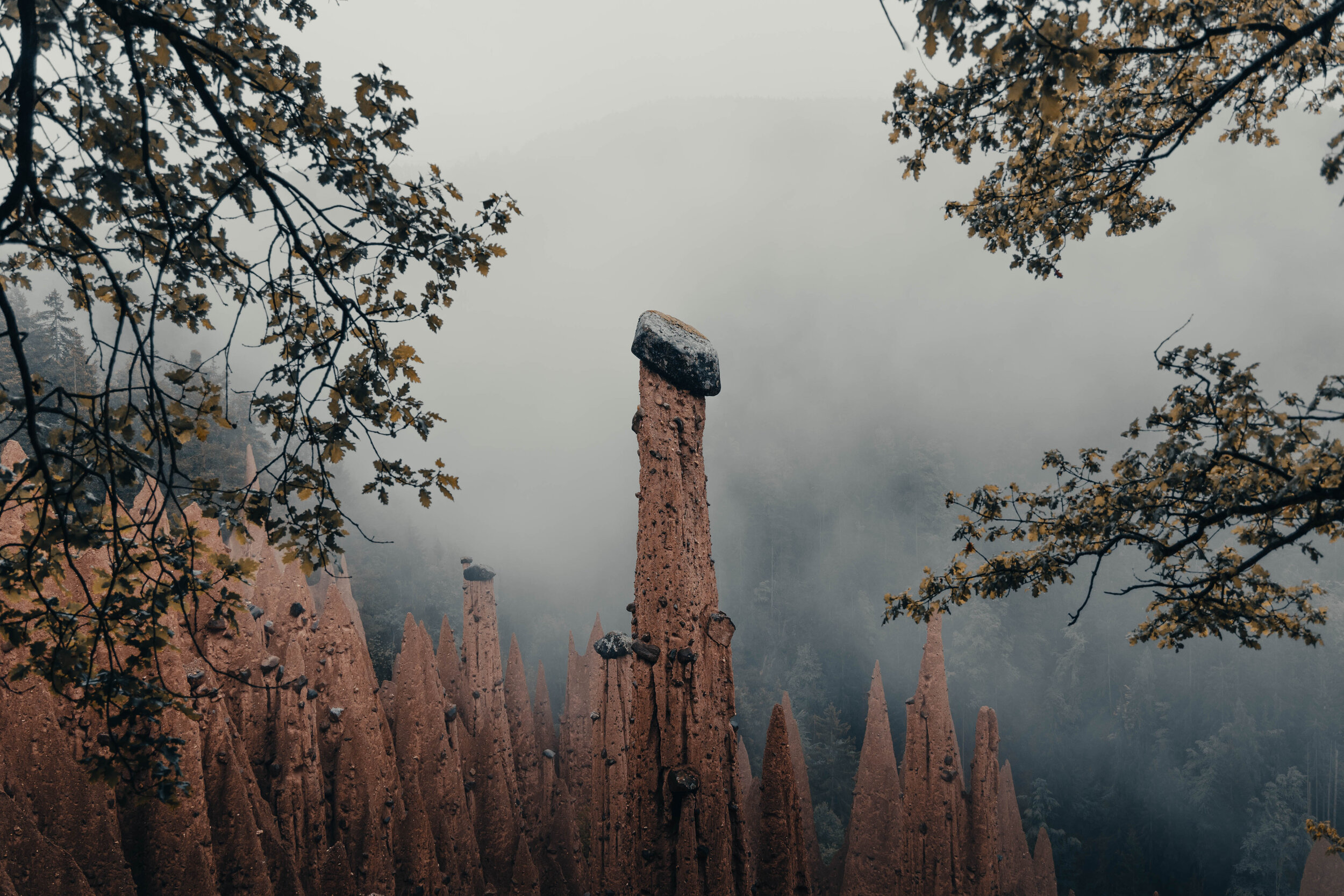  Alien structures in South-Tyrol 