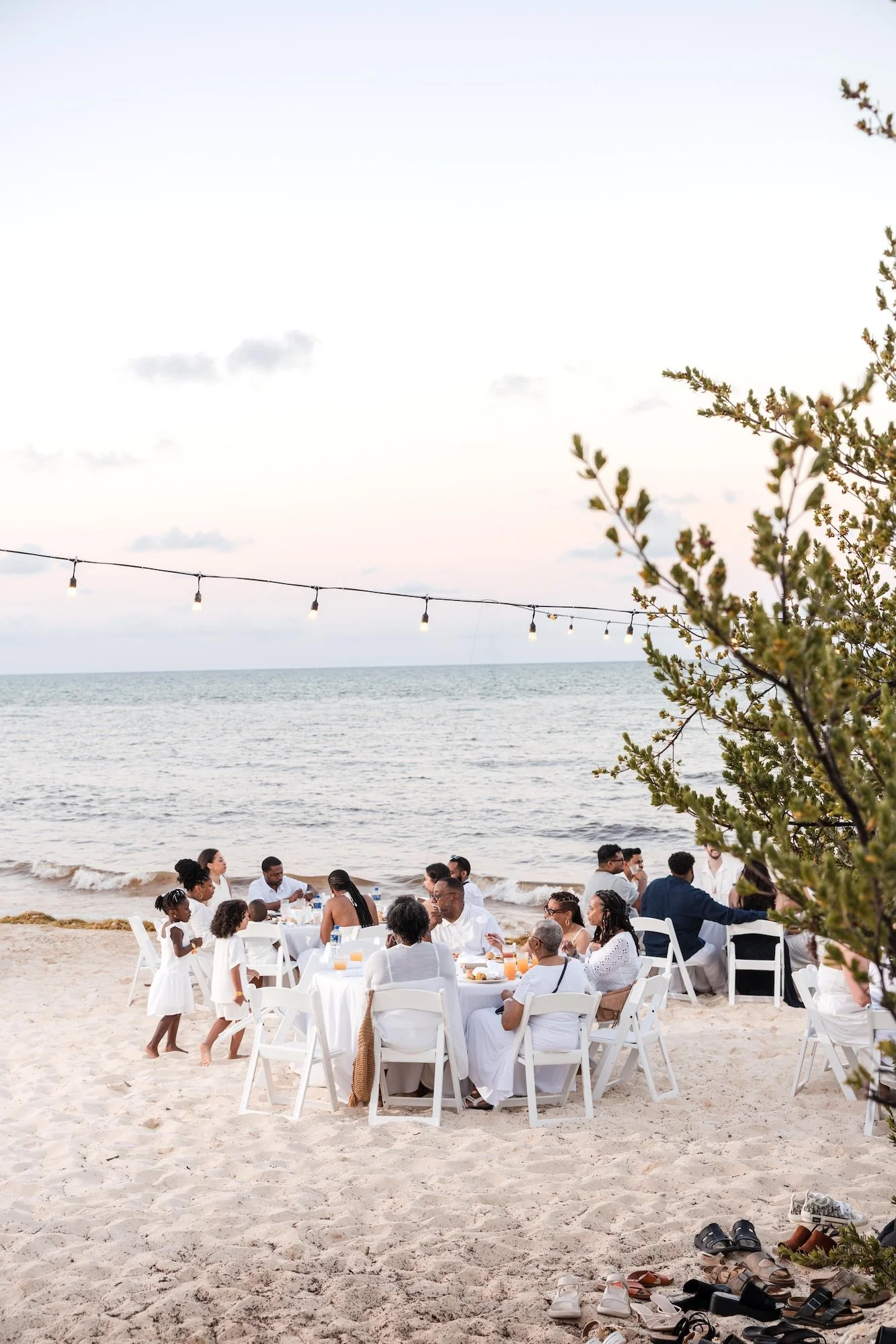 Sargassum and Your Riviera Maya Wedding
