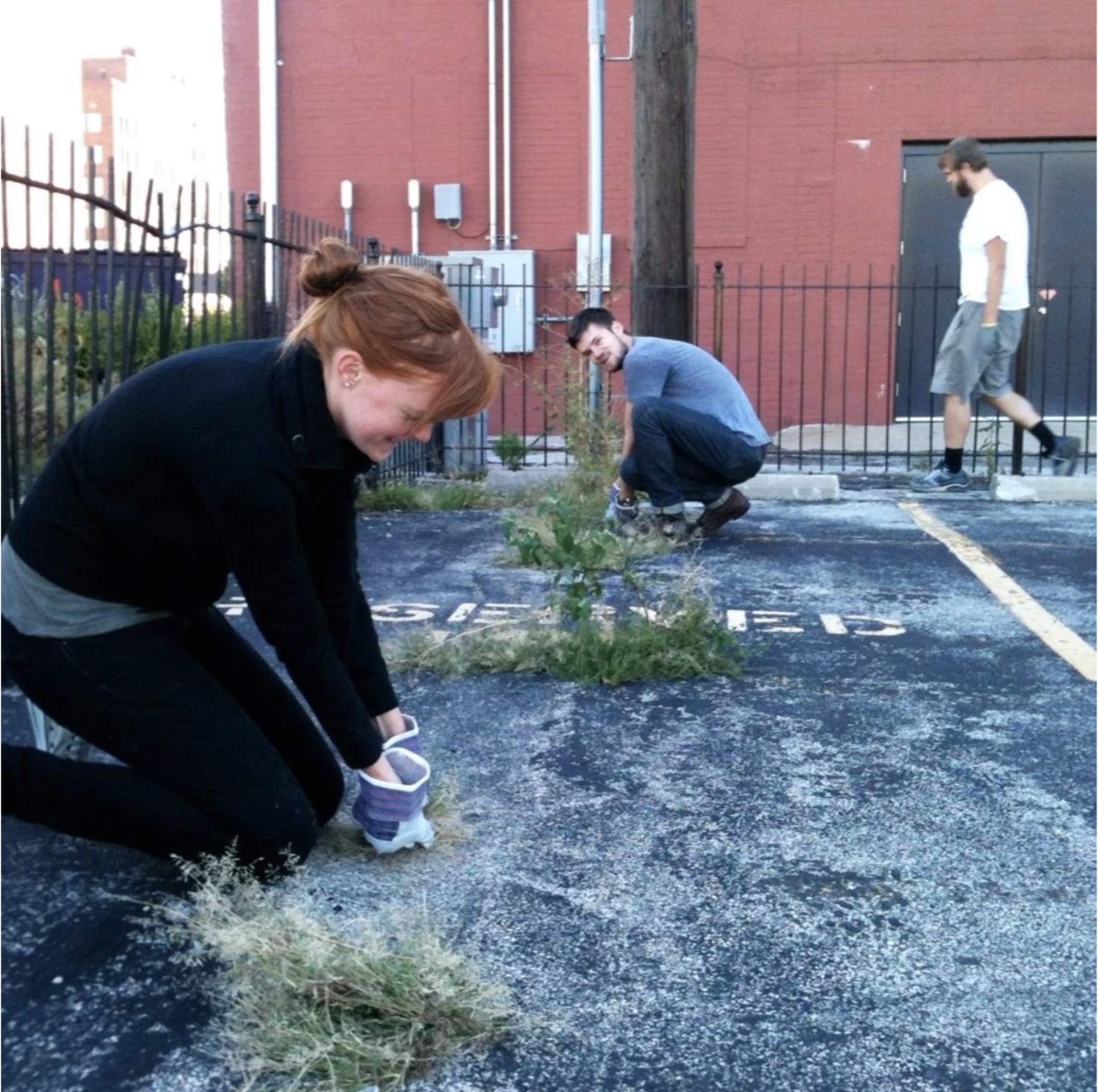 2011-2012 | GREEN + CIVIC SPACES VISION STUDY