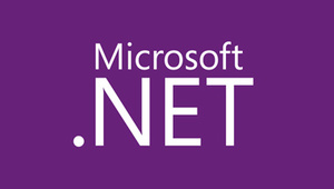 Microsoft .NET is the development platform that drives the business technology of the top corporations in the U.S. You will master the tools and best practices of the platform.