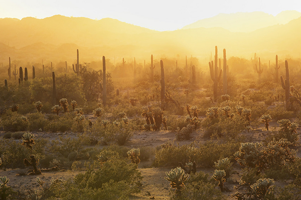 Desert Hiking 1.jpg