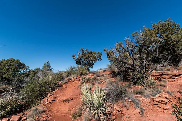 Desert Hiking.jpg