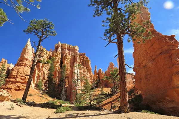 Utah 6.jpg