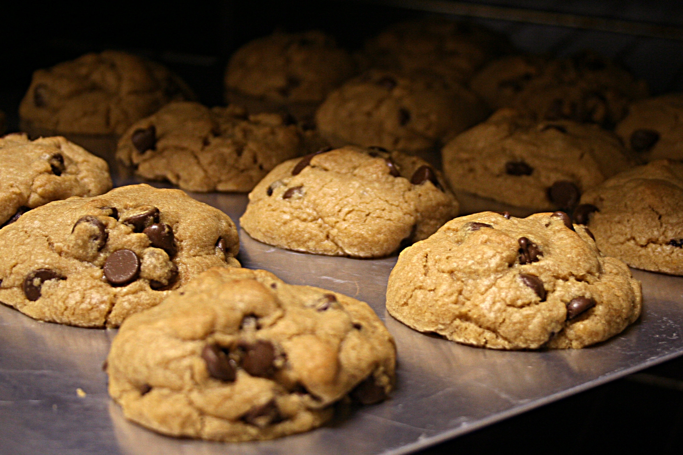 Chocolate_chip_cookies_in_the_oven,_March_2008.jpg