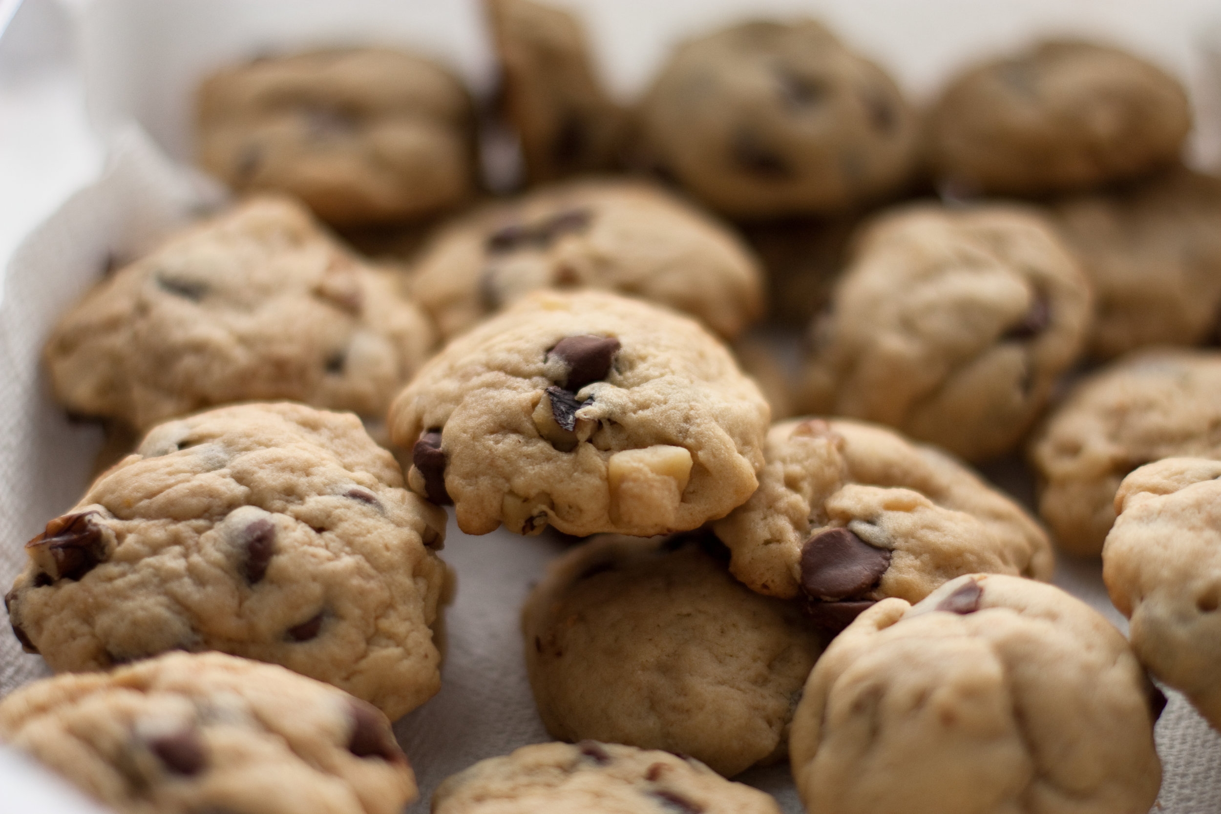 Walnut_chocolate_chip_cookies,_May_2009.jpg