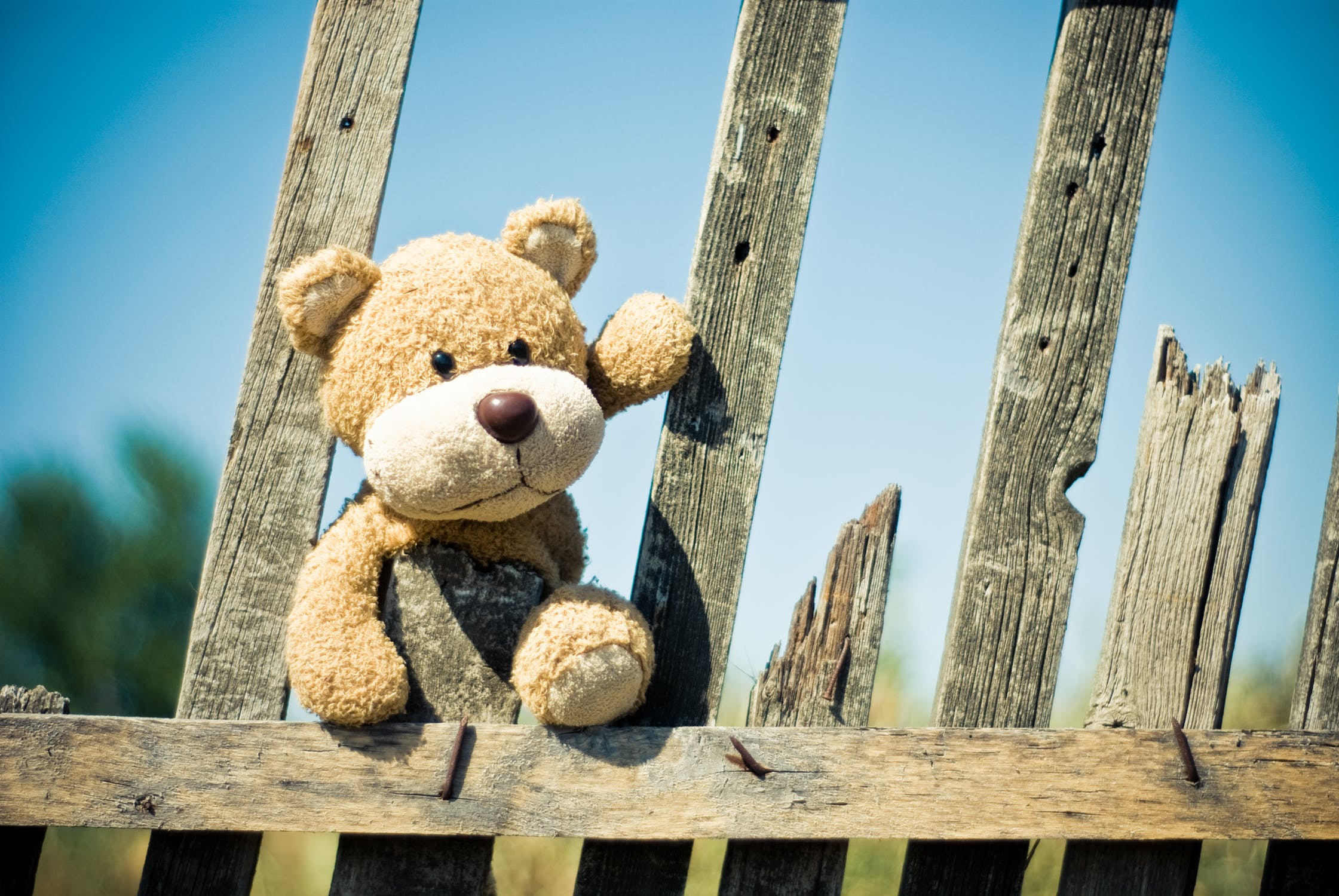ON THE FENCE.jpeg