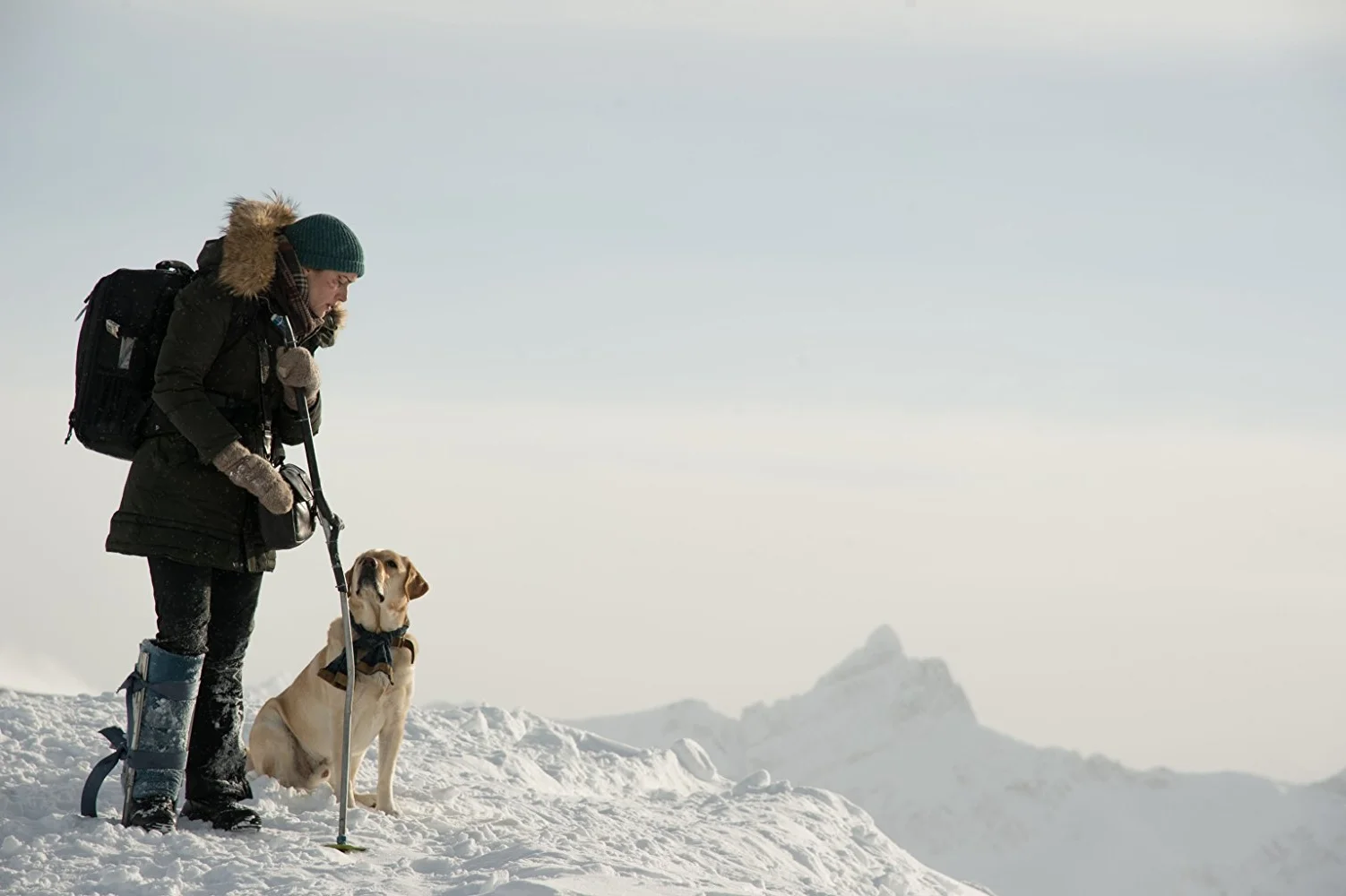 English Movie Night: The Mountain Between Us