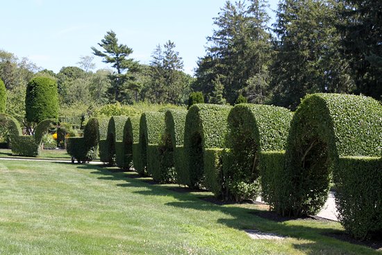 green-animals-topiary.jpg