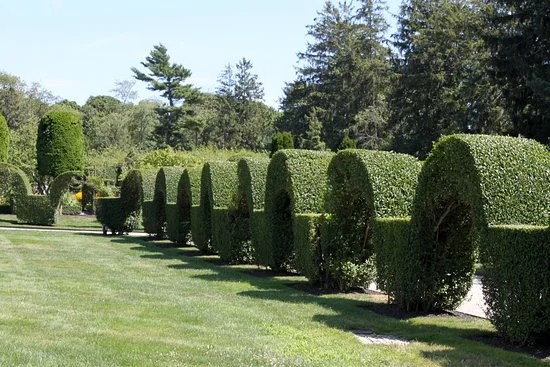 green-animals-topiary.jpg