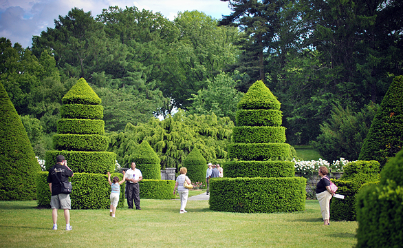 the-longwood-1.jpg