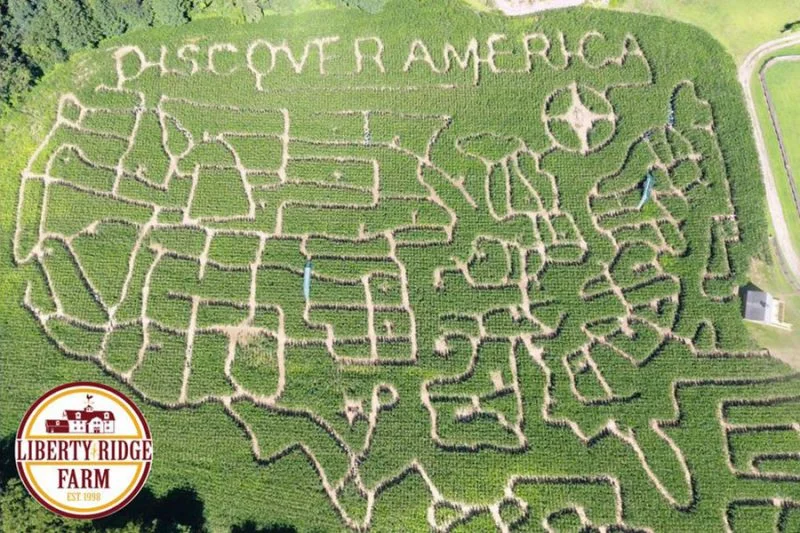 Liberty-Ridge-Farms_Corn-Maze-2017-800x533.jpg