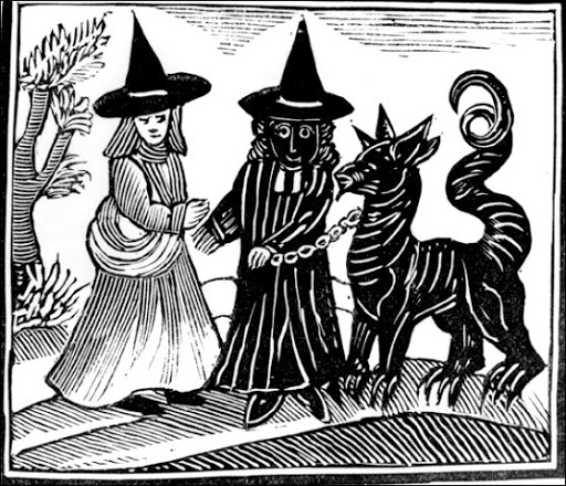 Image 7.jpg