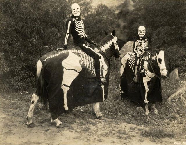 Image 13.jpg