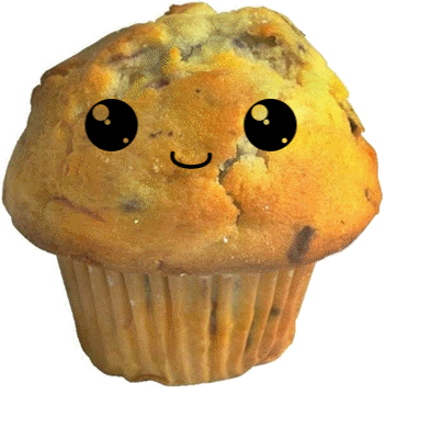 Quick and Easy Muffin Recipe