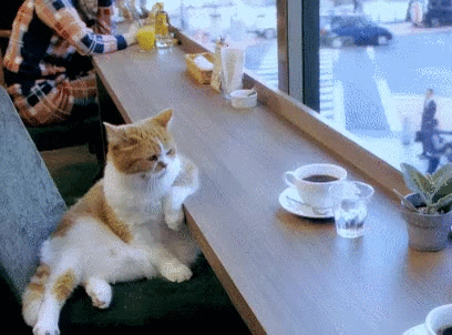 Types of Restaurants You’ll See When Travelling in America