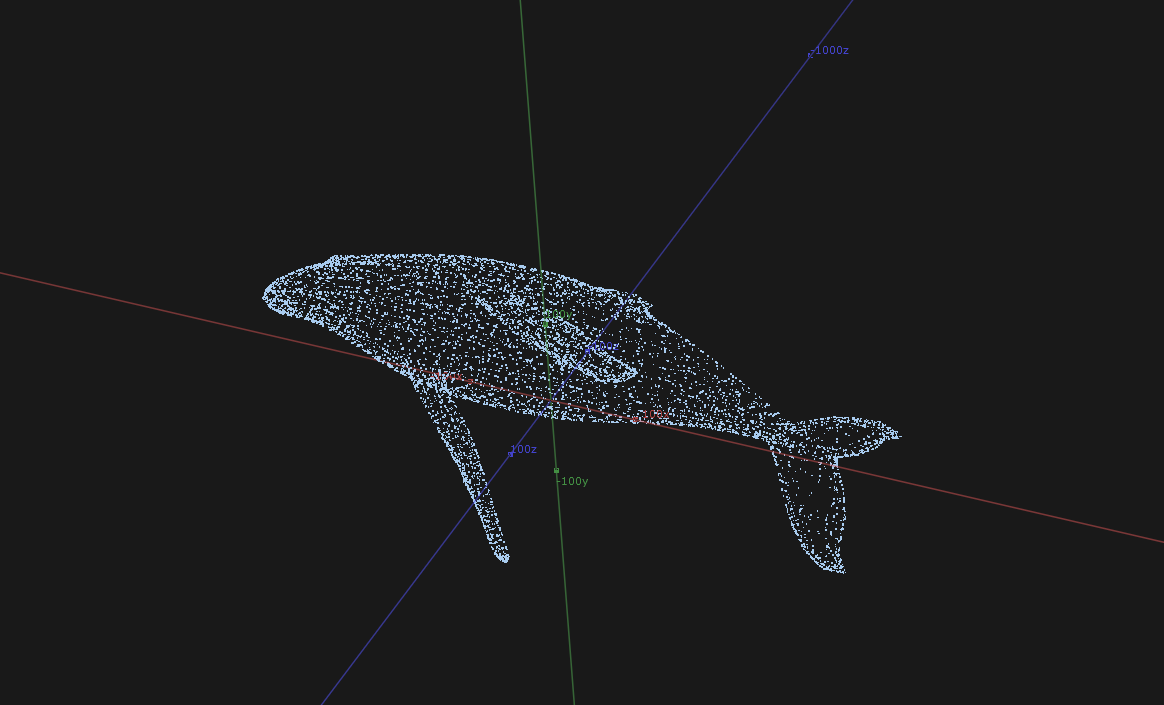 whale1.1+(1).png