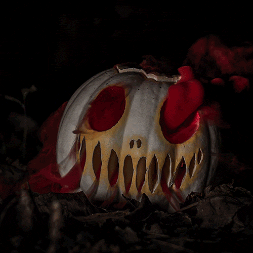 Fa-boo-lous: Halloween and the Jack O’ Lantern Spectacular 