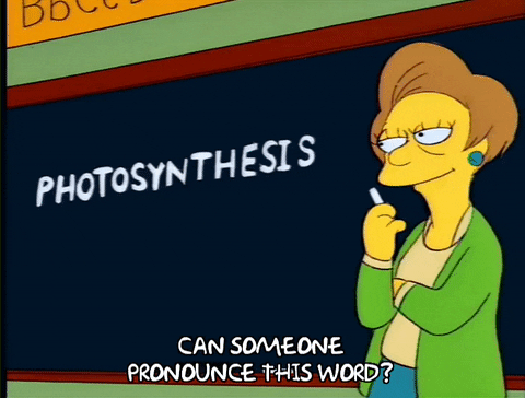 5 Apps and Websites to Help You with Pronouncing Words in English