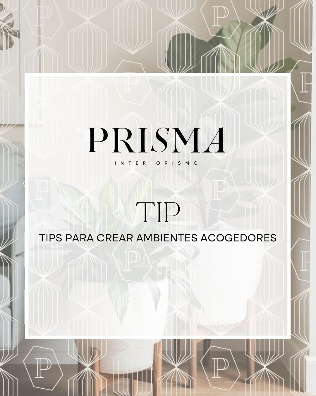 ✨Aqu&iacute; te dejamos algunas claves para crear un ambiente acogedor en casa🌿

🏡✨Un hogar no solo es un espacio, es una sensaci&oacute;n. Y con los detalles correctos, puedes hacer que  cada rinc&oacute;n pueda convertirse en un refugio de paz y 